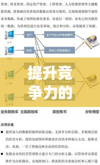 提升竞争力的关键策略与实践，企业必备指南