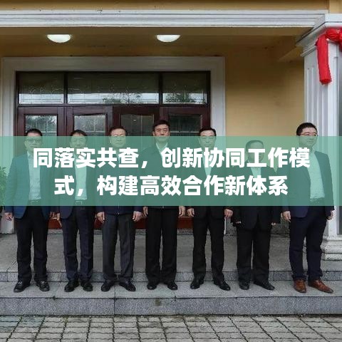 同落实共查，创新协同工作模式，构建高效合作新体系