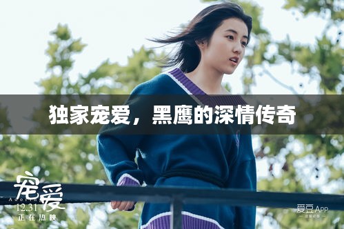 独家宠爱，黑鹰的深情传奇