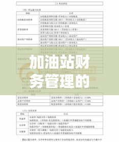 加油站财务管理的会计实践专题报告分析