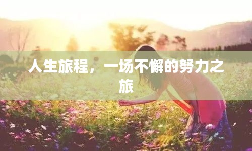 人生旅程，一场不懈的努力之旅