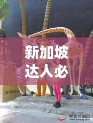 新加坡达人必游攻略