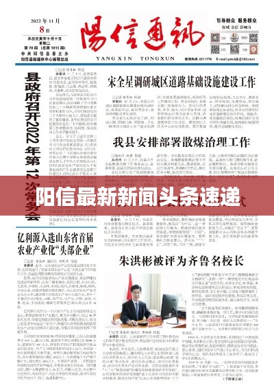 阳信最新新闻头条速递