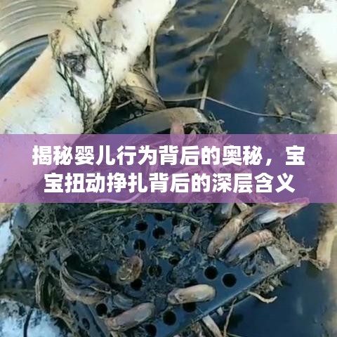 揭秘婴儿行为背后的奥秘，宝宝扭动挣扎背后的深层含义