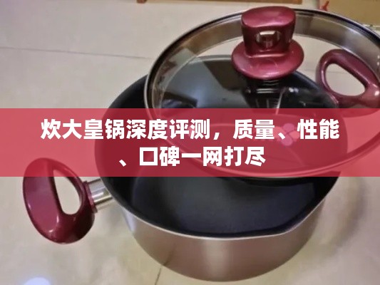 炊大皇锅深度评测，质量、性能、口碑一网打尽