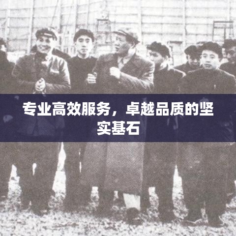 专业高效服务，卓越品质的坚实基石