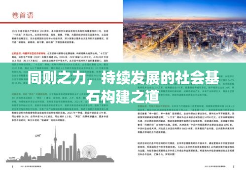 同则之力，持续发展的社会基石构建之道