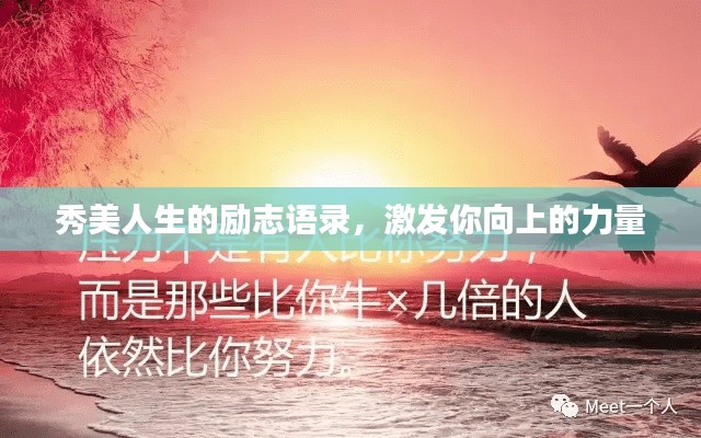 秀美人生的励志语录，激发你向上的力量