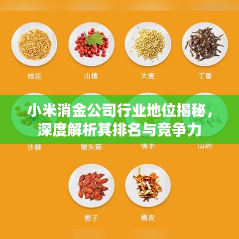 小米消金公司行业地位揭秘，深度解析其排名与竞争力