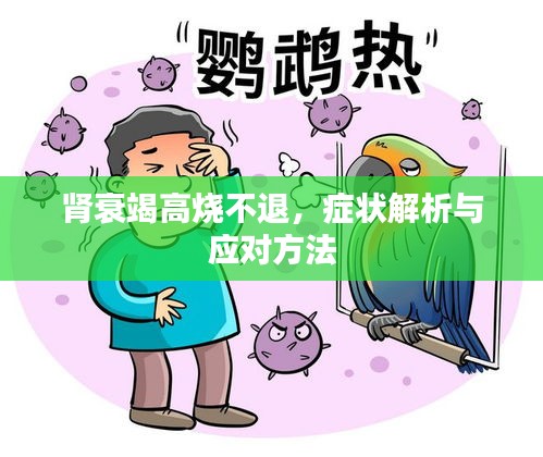 肾衰竭高烧不退，症状解析与应对方法
