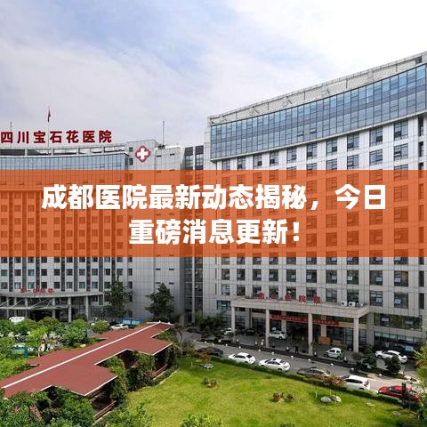 成都医院最新动态揭秘，今日重磅消息更新！