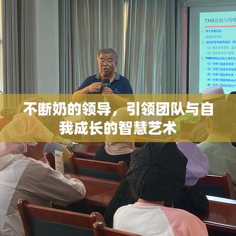 不断奶的领导，引领团队与自我成长的智慧艺术