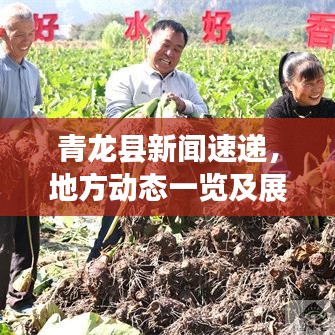 青龙县新闻速递，地方动态一览及展望发展之路