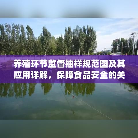 养殖环节监督抽样规范图及其应用详解，保障食品安全的关键环节！