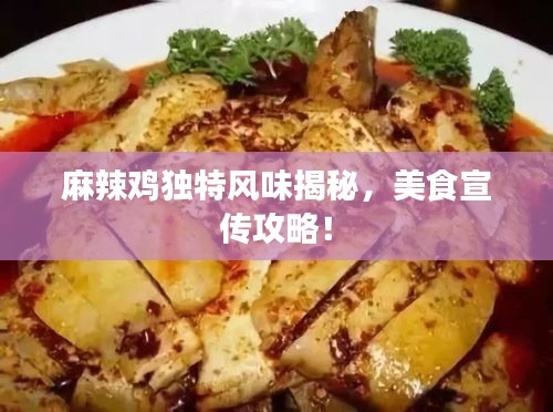 麻辣鸡独特风味揭秘，美食宣传攻略！