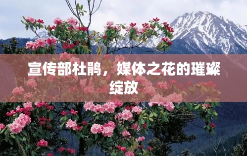 宣传部杜鹃，媒体之花的璀璨绽放