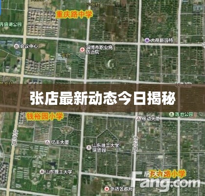 张店最新动态今日揭秘