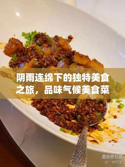 阴雨连绵下的独特美食之旅，品味气候美食菜