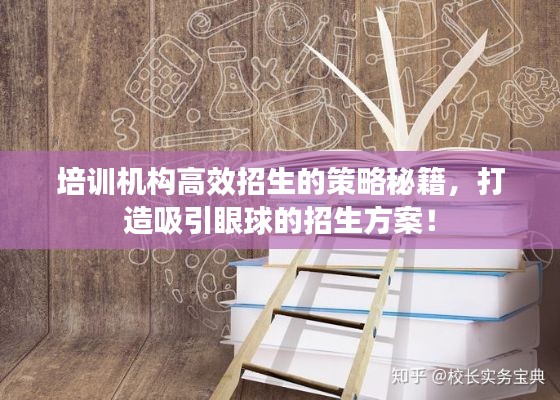 培训机构高效招生的策略秘籍，打造吸引眼球的招生方案！