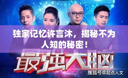 独家记忆许言沐，揭秘不为人知的秘密！
