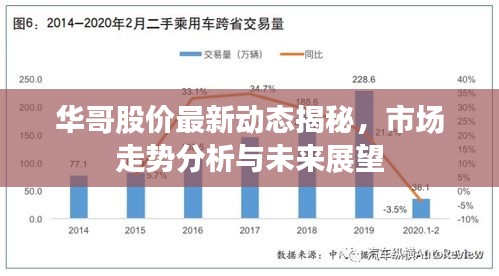 华哥股价最新动态揭秘，市场走势分析与未来展望