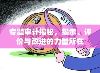 专题审计揭秘，揭示、评价与改进的力量所在