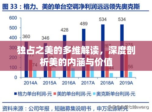 独占之美的多维解读，深度剖析美的内涵与价值