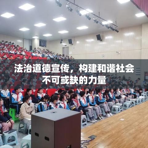 小家碧玉