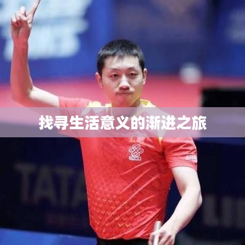 找寻生活意义的渐进之旅
