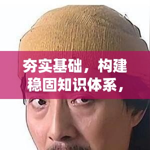 夯实基础，构建稳固知识体系，打造知识之轮的关键所在
