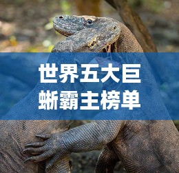 世界五大巨蜥霸主榜单，震撼来袭！