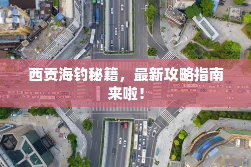 西贡海钓秘籍，最新攻略指南来啦！