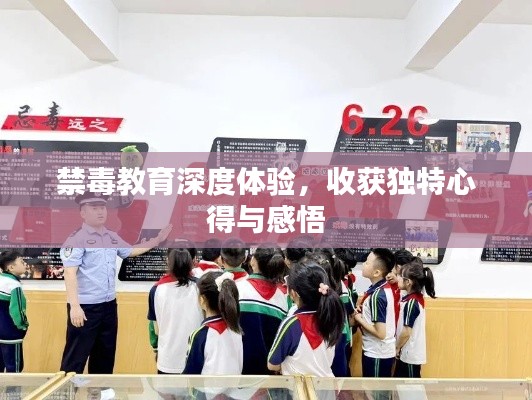 禁毒教育深度体验，收获独特心得与感悟