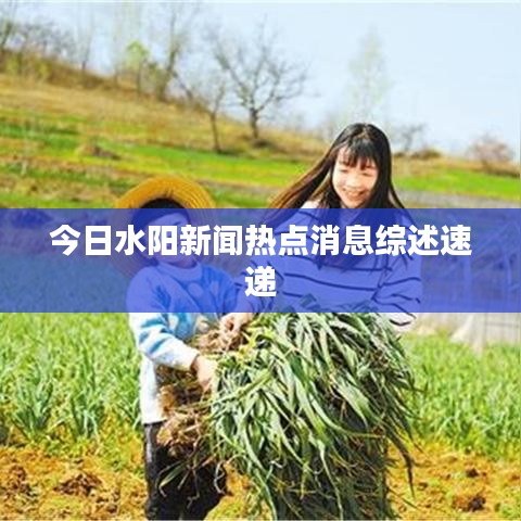 今日水阳新闻热点消息综述速递