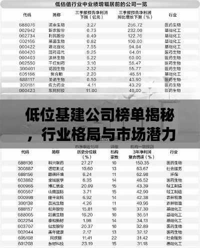 低位基建公司榜单揭秘，行业格局与市场潜力股深度剖析