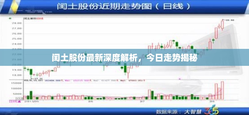 闰土股份最新深度解析，今日走势揭秘