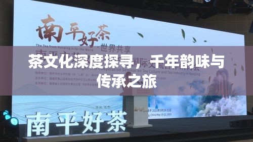 茶文化深度探寻，千年韵味与传承之旅