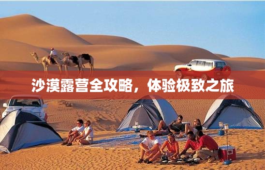 沙漠露营全攻略，体验极致之旅