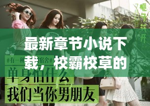 最新章节小说下载，校霸校草的青春风云传奇故事
