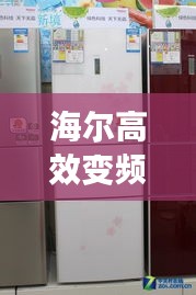 海尔高效变频冰箱，科技与节能的卓越融合