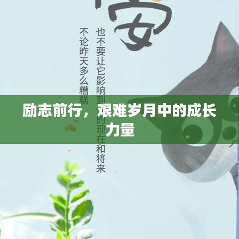 励志前行，艰难岁月中的成长力量