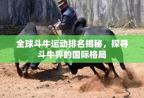 全球斗牛运动排名揭秘，探寻斗牛界的国际格局