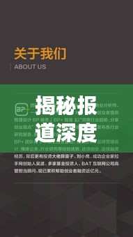 揭秘报道深度展现秘籍，揭秘真相，洞察本质