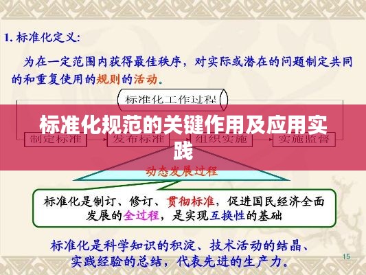 标准化规范的关键作用及应用实践