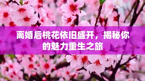 离婚后桃花依旧盛开，揭秘你的魅力重生之旅
