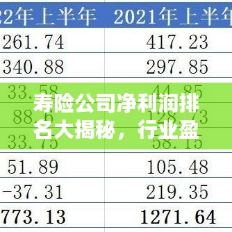 寿险公司净利润排名大揭秘，行业盈利格局一目了然