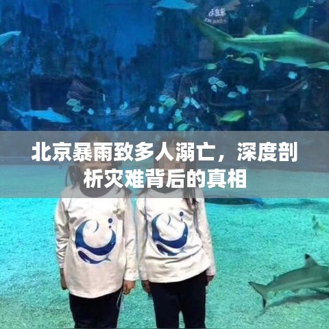 北京暴雨致多人溺亡，深度剖析灾难背后的真相