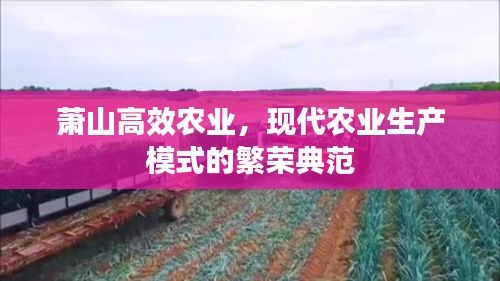 萧山高效农业，现代农业生产模式的繁荣典范