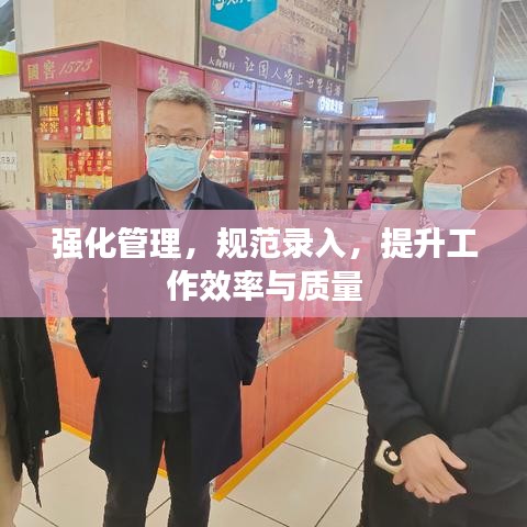 强化管理，规范录入，提升工作效率与质量