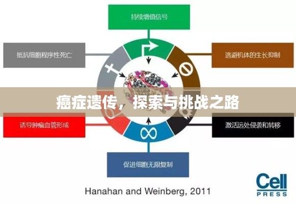 癌症遗传，探索与挑战之路